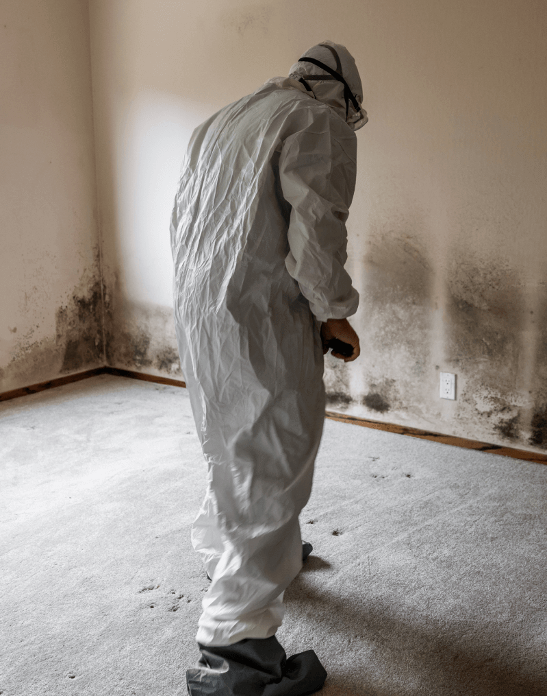 A professional working on a site with PPE