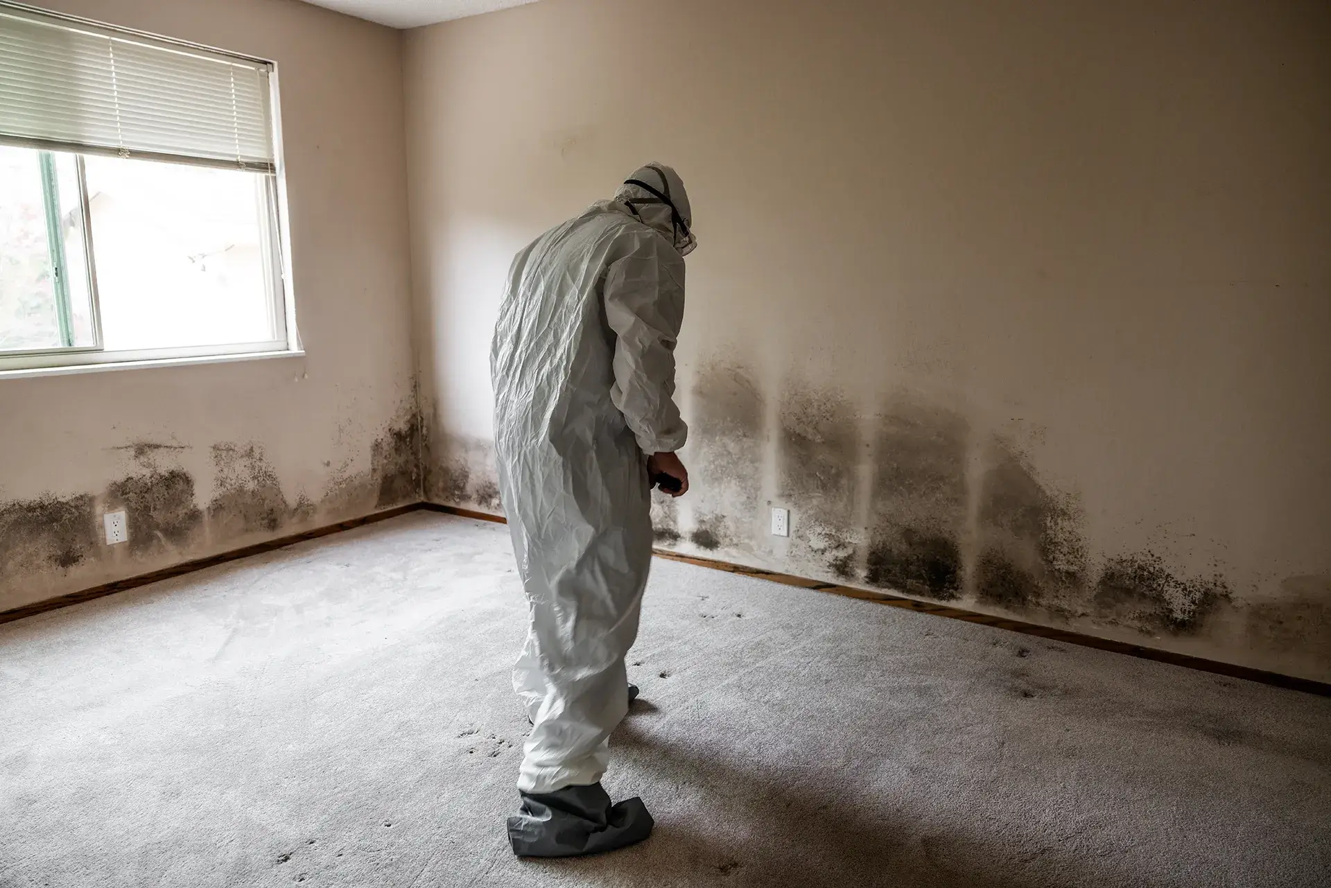 A professional working on a site with PPE