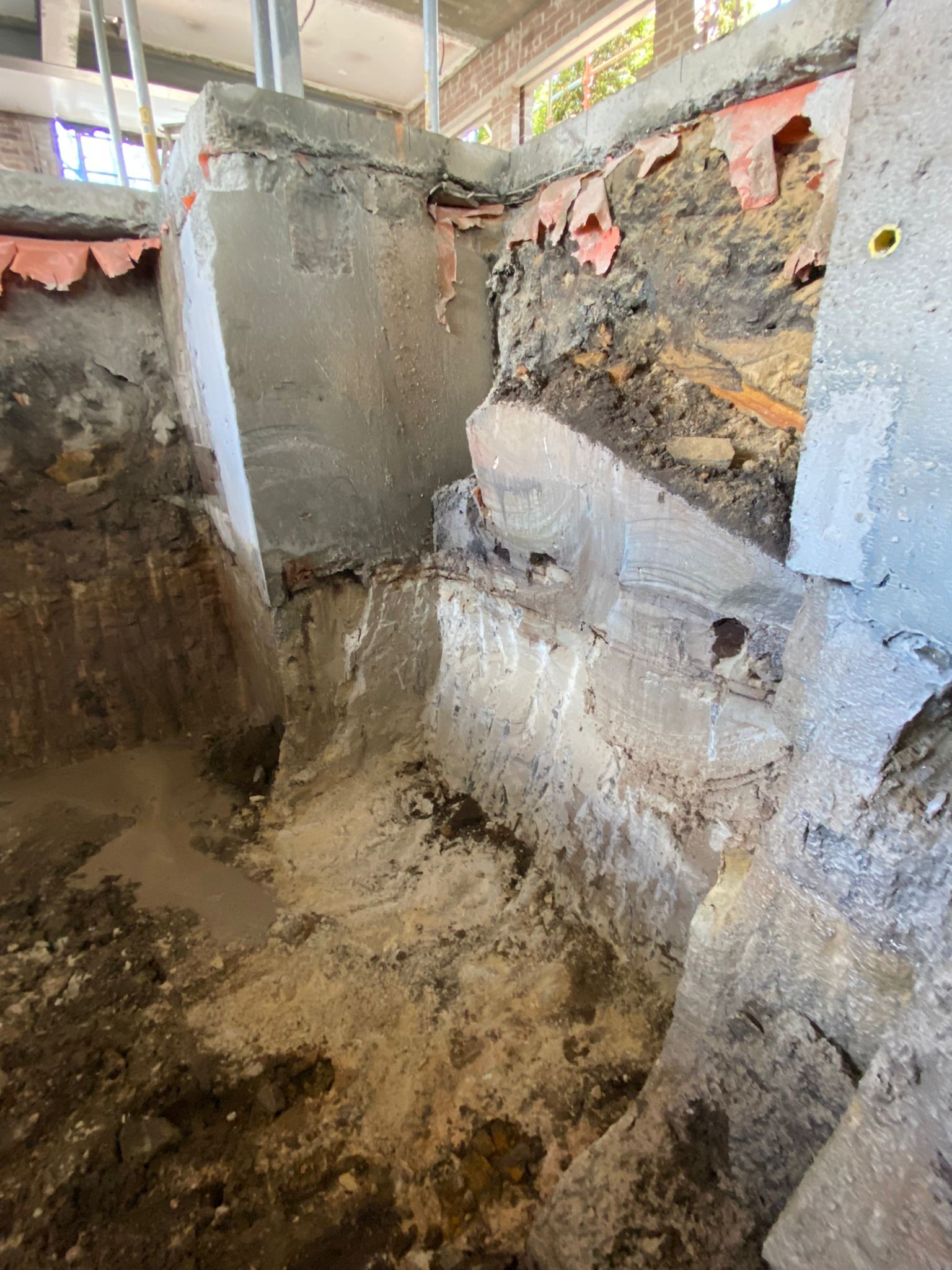 Project image 5